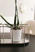 Görseli Galeri görüntüleyiciye yükleyin, PASLANMAZ ORKİDELİK