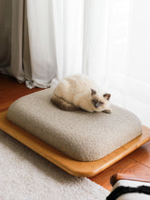 Görseli Galeri görüntüleyiciye yükleyin, MOLLIS KEDİ / KOPEK YATAĞI