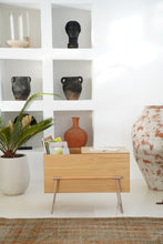 Görseli Galeri görüntüleyiciye yükleyin, FACUL DERGİLİK / SAKSILIK