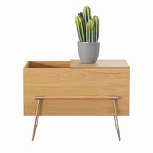 Görseli Galeri görüntüleyiciye yükleyin, FACUL DERGİLİK / SAKSILIK